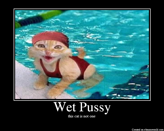 Wet Pussy Picture Ebaums World