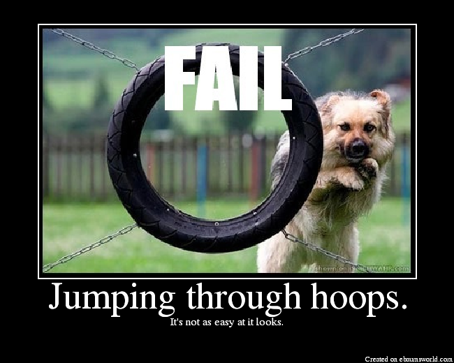 Jumping through hoops. - Picture | eBaum's World