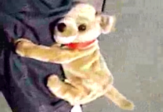 dog humping doll