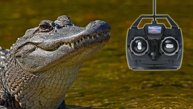 gator remote control