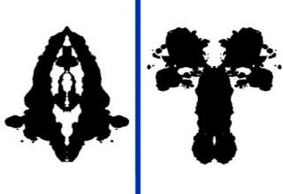 My Results On The Ink Blot Test