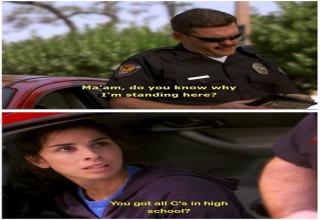 Police Work...