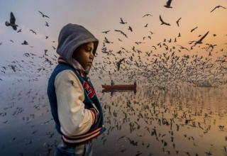 26 Incredible 2019 Nat Geo Award Winning Photos Wow Gallery EBaum S