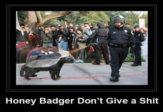 Angered The Badger