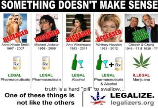 Slap in the face truth.