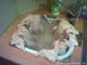 Naked Chicks in Tub