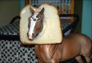 Only on the Famous EBW will you find a photo of ...