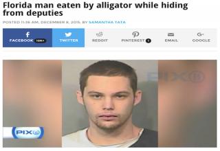 The Infamous Florida Man Strikes Again Funny Gallery EBaum S World