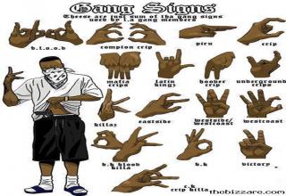 Gang Signs - Picture