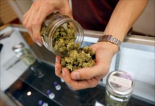 Secret to FREE marijuana