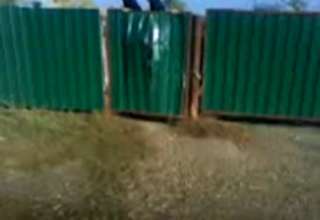 Turtle Climbing Fence