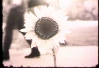 SCREW GREEN PEACE! A SHORT STUDENT FILM DIRECTED BY MJ CLARKE