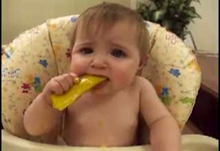 Baby Eating Lemon