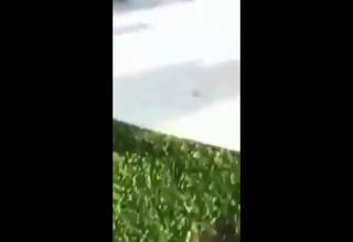 Caught On Video: Guy With A Knife Stuck In His Back