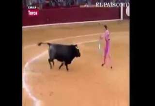Bullfight Fail