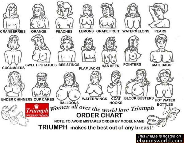 Boob Chart - Picture