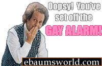 human behavior - Oopsy! You've set off the Gay Alarm ebaumsworld.com