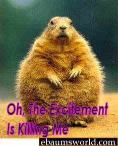 fat groundhog - Oh The Excitement Is Killing Me ebaumsworld.com