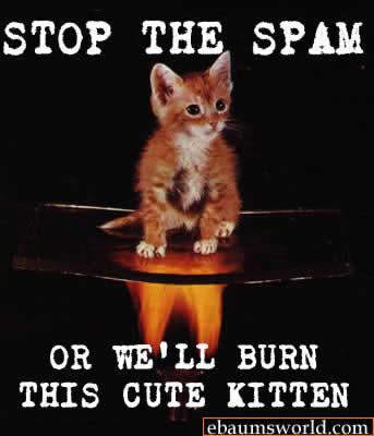 Stop The Spam Or We'Ll Burn This Cute Kitten ebaumsworld.com