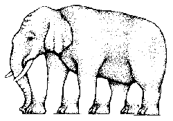 How many legs does this elephant have?