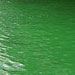 For their St. Patrick's Day celebration the city of Chicago turned this river completely green.