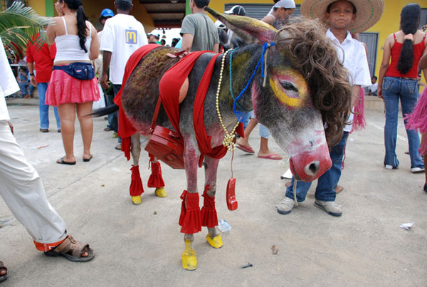 I guess this is how they celebrate for the annual donkey festival.