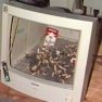 Here are some ideas of what to do with those old computer parts you have lying around.