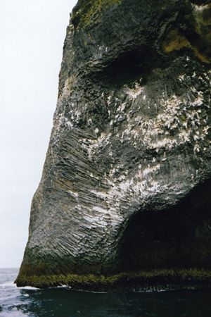 Elephant cliff