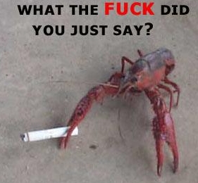 crayfish - What The Fuck Did You Just Say?