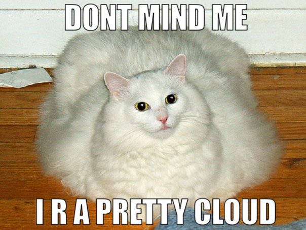 cat meme - Dont Mind Me Tr A Pretty Cloud