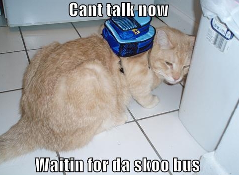 photo caption - Cant talk now Waitin for da skoo bus