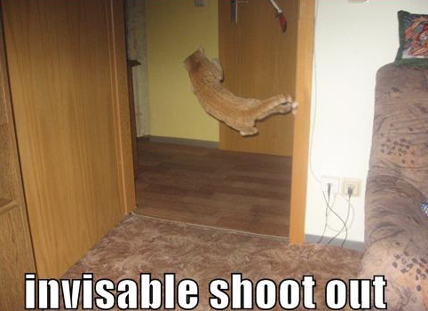 funny cats with guns - invisable shoot out