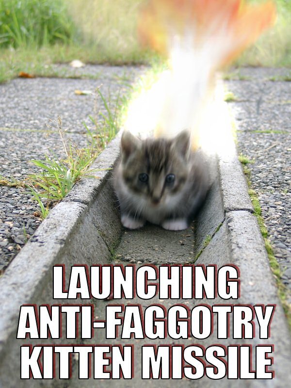 admiral cat - Launching AntiFaggotry Kitten Missile