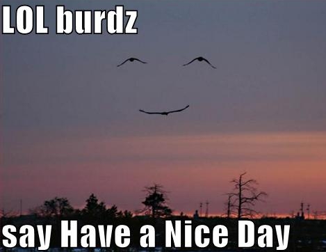 smile - Lol burdz say Have a Nice Day