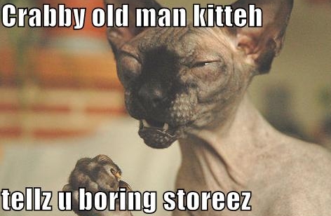old funny cat - Crabby old man kitten tellz u boring storeez
