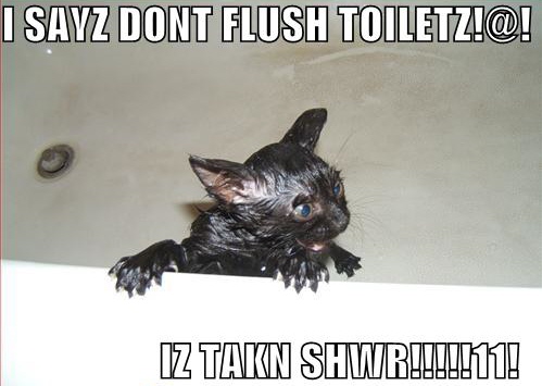 cat in bath - I Sayz Dont Flush Toiletz!@! Iz Takn Shwr!!!!!11!