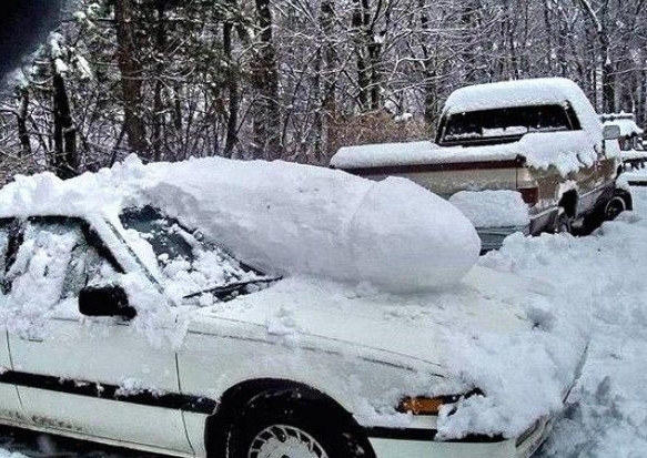 Another snow 'sculpture' that would be fun to see on the road.