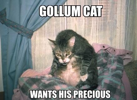 lolcat gollum cat - Gollum Cat Wants His Precious