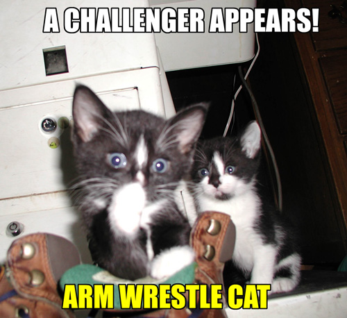 lolcat cats arm wrestling - Achallenger Appears! Arm Wrestle Cat