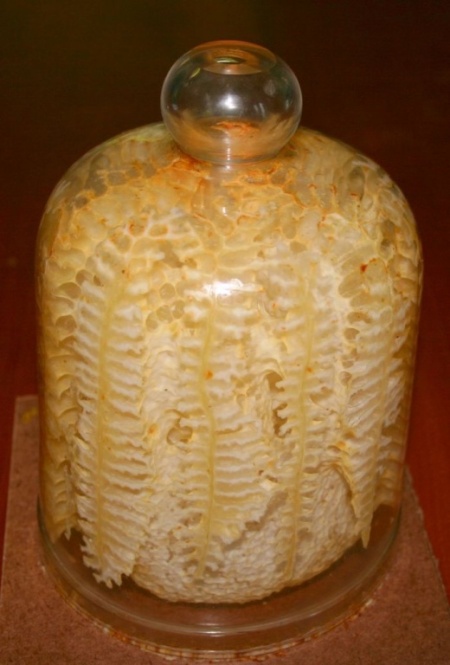 Making of a Honeycomb