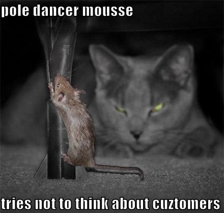 lol cats and dogs - pole dancer mousse tries not to think about cuztomers