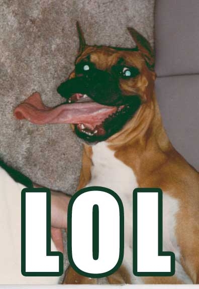 lol dog tongue - Lol