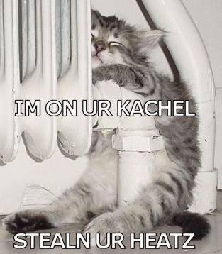 cute cat warm cat - Im Onur Kachel Stealn Ur Heatz