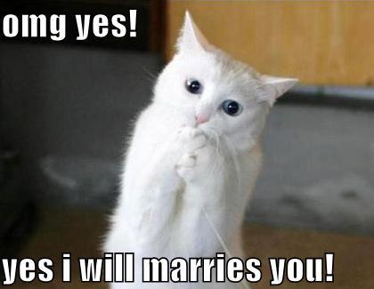 yes i will marry you meme - omg yes! yes i will marries you!