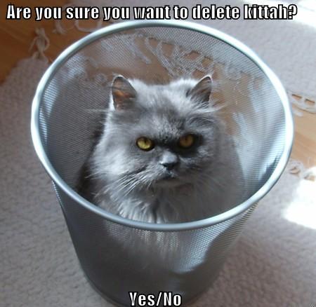 funny bins - Are you sure you want to delete kittah? VesNo