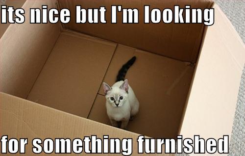 real estate memes funny animals - its nice but I'm looking for something furnished