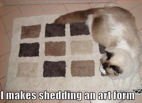 fur - I makes shedding an art form