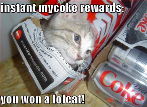 funny coke - SE26L instant mycoke rewards Weside you won a lolcat! Oestnader Online Or Text Code To "2653 Wtryour Code On mycokerewards.com