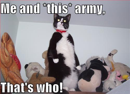 army lolcat - Me and this army, That's who!