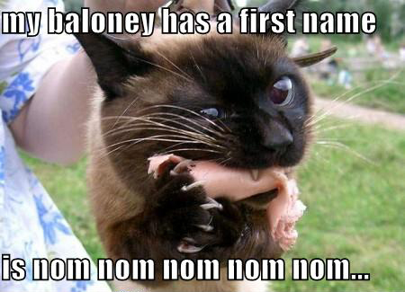 cat nom nom nom - my baloney has a first name is nom nom nom nom nom...